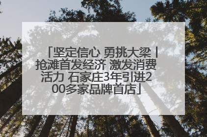 坚定信心 勇挑大梁丨抢滩首发经济 激发消费活力 石家庄3年引进200多家品牌首店