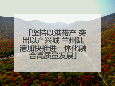 坚持以港带产 突出以产兴城 兰州陆港加快推进一体化融合高质量发展