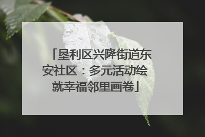 垦利区兴隆街道东安社区：多元活动绘就幸福邻里画卷