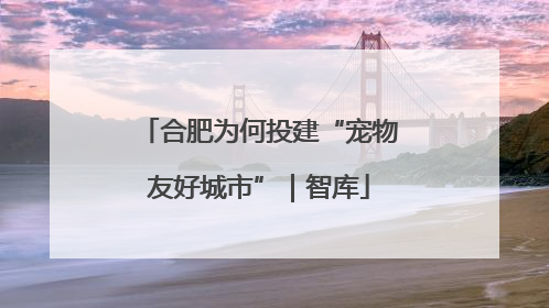 合肥为何投建“宠物友好城市”｜智库