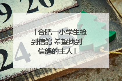 合肥一小学生捡到信鸽 希望找到信鸽的主人