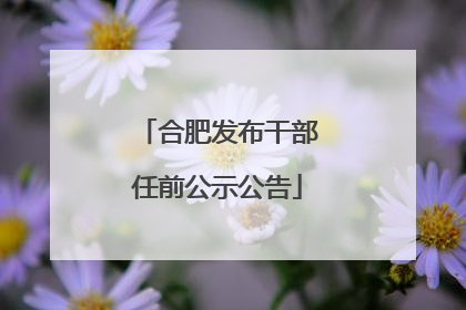 合肥发布干部任前公示公告