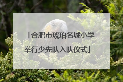 合肥市琥珀名城小学举行少先队入队仪式