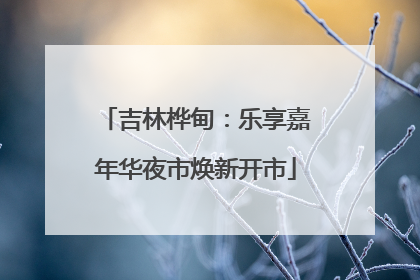 吉林桦甸：乐享嘉年华夜市焕新开市