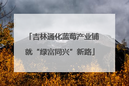 吉林通化蓝莓产业铺就“绿富同兴”新路