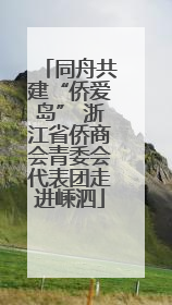 同舟共建“侨爱岛” 浙江省侨商会青委会代表团走进嵊泗