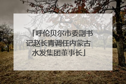 呼伦贝尔市委副书记赵长青调任内蒙古水发集团董事长