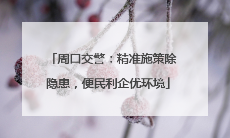 周口交警：精准施策除隐患，便民利企优环境