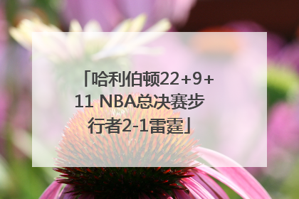 哈利伯顿22+9+11 NBA总决赛步行者2-1雷霆