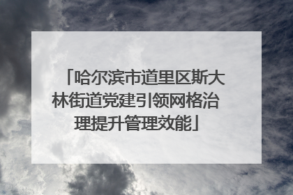 哈尔滨市道里区斯大林街道党建引领网格治理提升管理效能