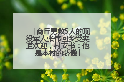 商丘勇救5人的现役军人张伟回乡受夹道欢迎，村支书：他是本村的骄傲