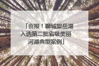 喜报！聊城望岳湖入选第二批省级美丽河湖典型案例