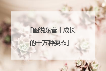 图说东营丨成长的十万种姿态