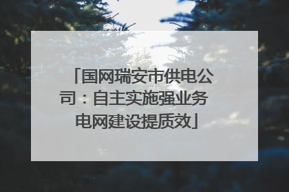 国网瑞安市供电公司：自主实施强业务 电网建设提质效
