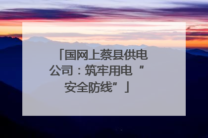 国网上蔡县供电公司：筑牢用电“安全防线”