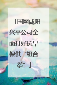 国网咸阳兴平公司全面打好抗旱保供“组合拳”