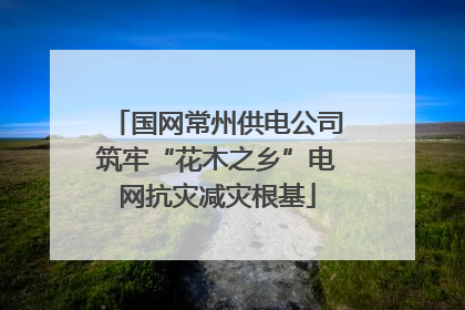 国网常州供电公司筑牢“花木之乡”电网抗灾减灾根基
