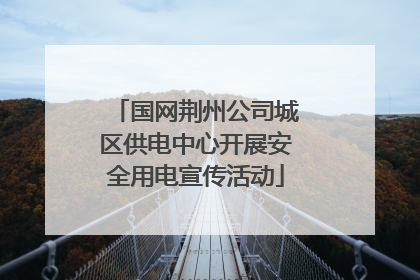 国网荆州公司城区供电中心开展安全用电宣传活动