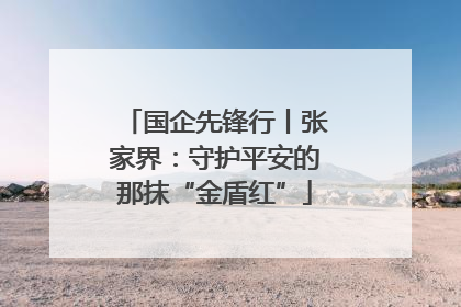 国企先锋行丨张家界：守护平安的那抹“金盾红”