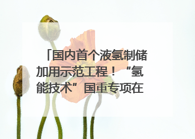 国内首个液氢制储加用示范工程！“氢能技术”国重专项在四川南充启动｜打赢经济发展翻身仗