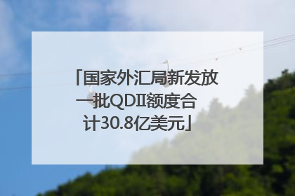 国家外汇局新发放一批QDII额度合计30.8亿美元