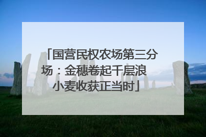 国营民权农场第三分场：金穗卷起千层浪 小麦收获正当时