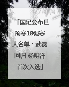 国足公布世预赛18强赛大名单：武磊回归 杨明洋首次入选