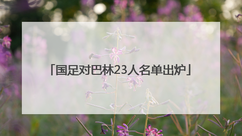 国足对巴林23人名单出炉