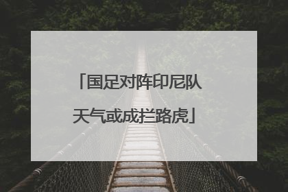 国足对阵印尼队 天气或成拦路虎