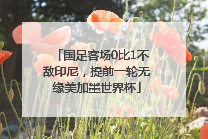 国足客场0比1不敌印尼，提前一轮无缘美加墨世界杯