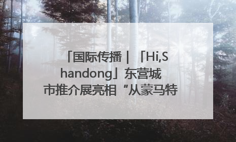 国际传播｜「Hi,Shandong」东营城市推介展亮相“从蒙马特到加里波第”文化节