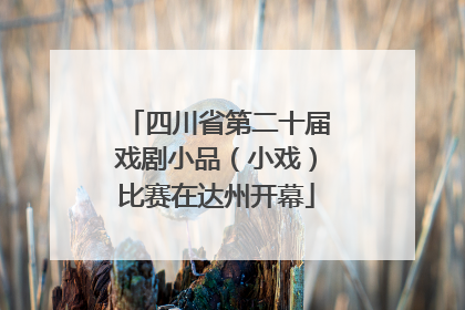 四川省第二十届戏剧小品（小戏）比赛在达州开幕