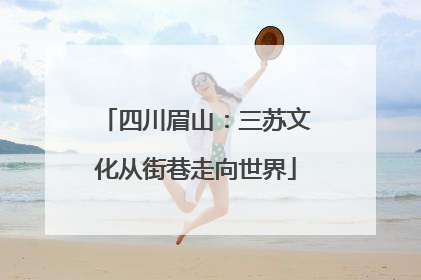 四川眉山：三苏文化从街巷走向世界