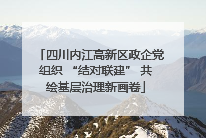 四川内江高新区政企党组织 “结对联建” 共绘基层治理新画卷