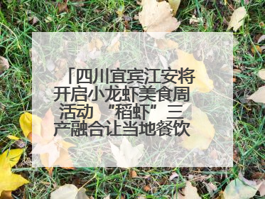 四川宜宾江安将开启小龙虾美食周活动 “稻虾”三产融合让当地餐饮商户充满期待