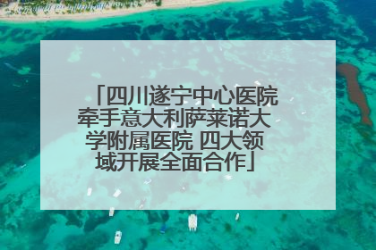 四川遂宁中心医院牵手意大利萨莱诺大学附属医院 四大领域开展全面合作