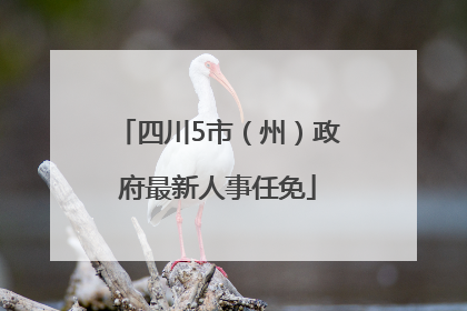 四川5市（州）政府最新人事任免