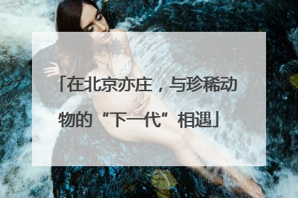 在北京亦庄，与珍稀动物的“下一代”相遇