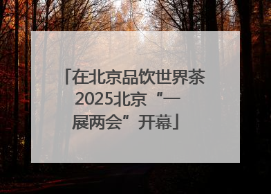 在北京品饮世界茶 2025北京“一展两会”开幕