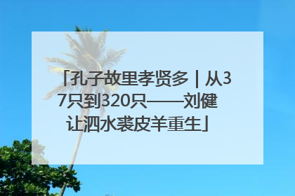 孔子故里孝贤多｜从37只到320只——刘健让泗水裘皮羊重生