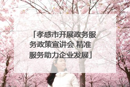 孝感市开展政务服务政策宣讲会 精准服务助力企业发展