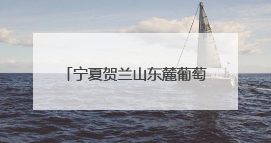 宁夏贺兰山东麓葡萄酒品鉴推介会在沪举行 搭建与长三角地区沟通合作的桥梁