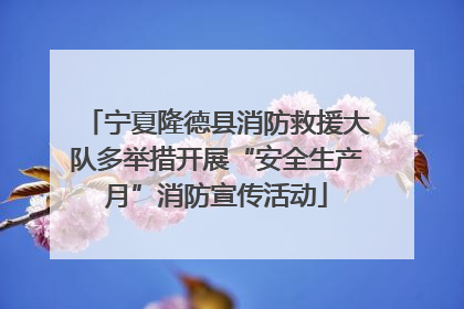 宁夏隆德县消防救援大队多举措开展“安全生产月”消防宣传活动