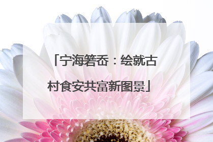 宁海箬岙：绘就古村食安共富新图景