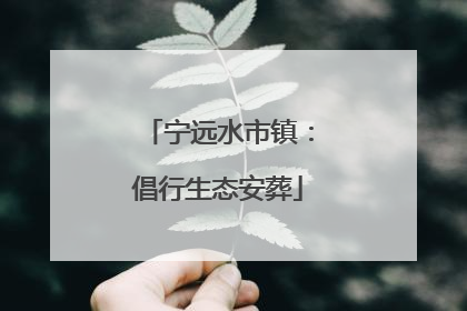 宁远水市镇：倡行生态安葬