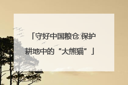 守好中国粮仓 保护耕地中的“大熊猫”