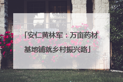 安仁黄林军：万亩药材基地铺就乡村振兴路