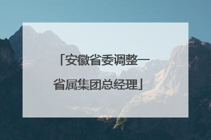 安徽省委调整一省属集团总经理