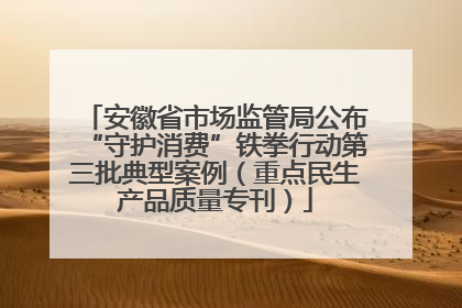 安徽省市场监管局公布“守护消费”铁拳行动第三批典型案例（重点民生产品质量专刊）