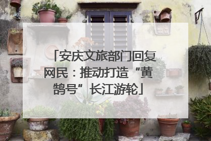 安庆文旅部门回复网民：推动打造“黄鹄号”长江游轮